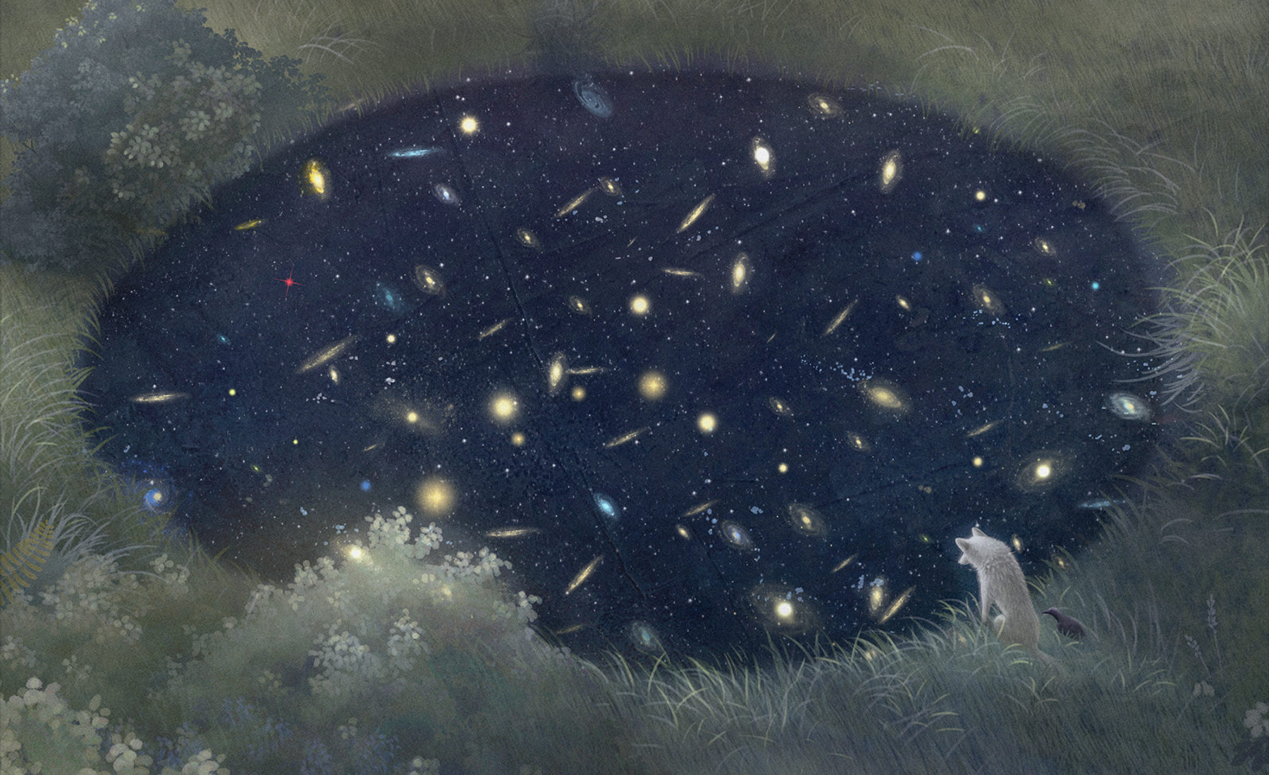 森のなかに星空が広がり、右下にレムとカフカがいる絵